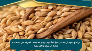 ارتفاع جديد في سعر الأرز الشعير اليوم الجمعة.. تعرف على الأسعار للحبة الرفيعة والعريضة